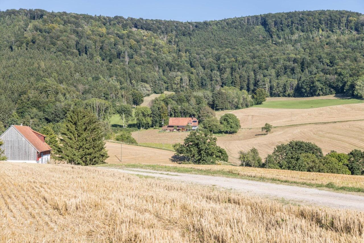Der Lachenbuckhof Блумберг Екстериор снимка